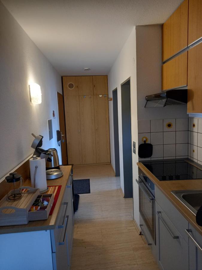 Suedblick Apartman Willingen  Kültér fotó